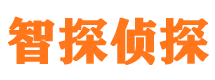 虎林外遇调查取证